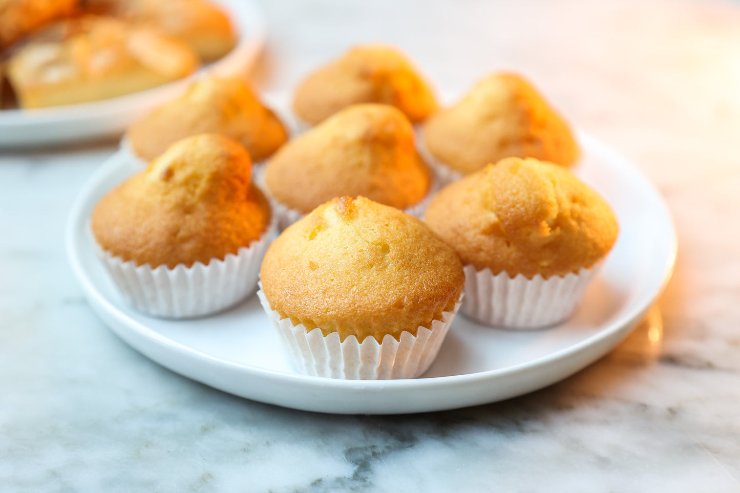 Mini Muffins - Oats